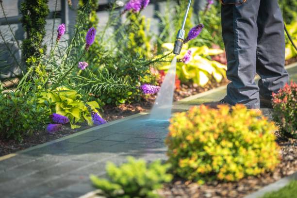 Best Sidewalk and Walkway Cleaning  in Shasta Lake, CA